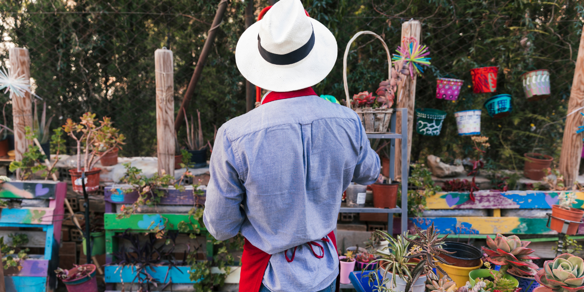 Qué hacer en Oaxaca gratis: actividades y experiencias sin gastar un peso.