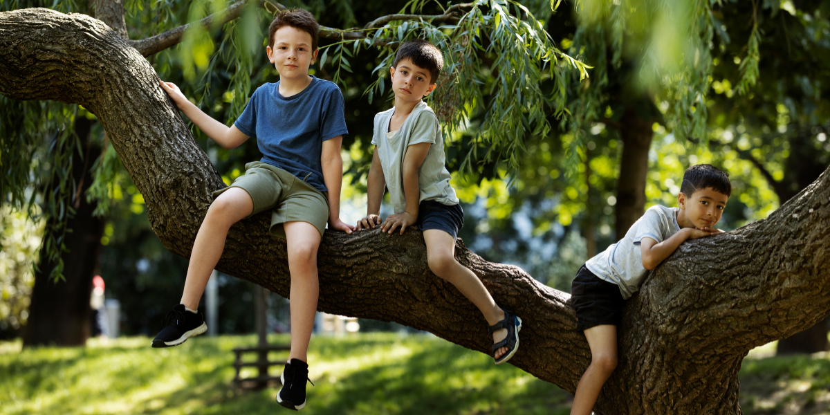 Parques ecológicos para familias: diversión, aire puro y juegos en medio de la naturaleza.